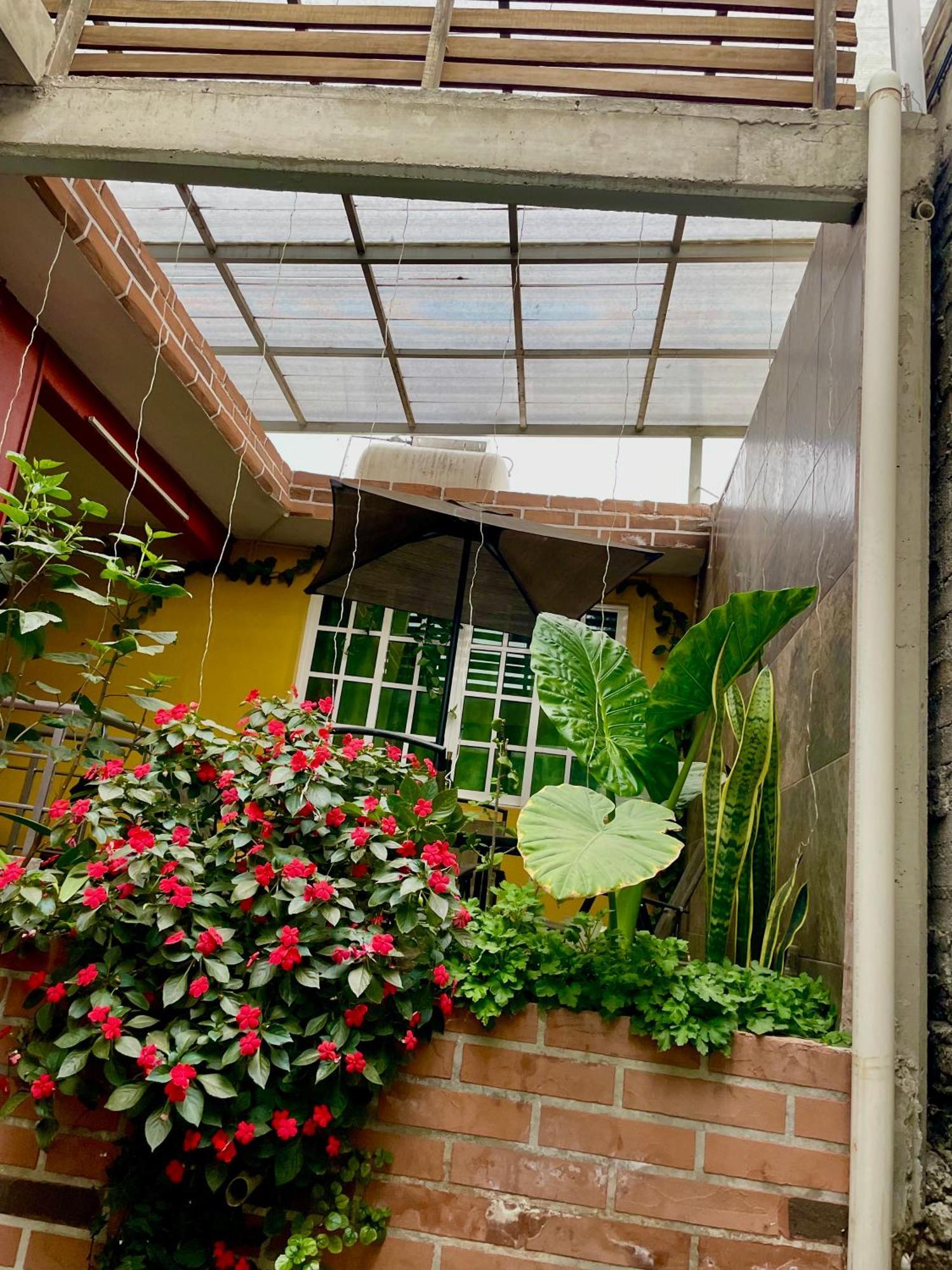 Hidden House Apartment Ciudad de México Exterior foto